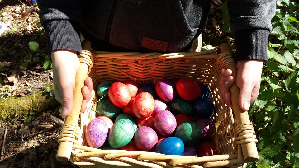 10403197 703214479784198 1750681136501446174 n