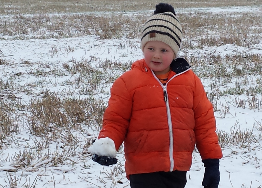 20150203 100826 1024x733