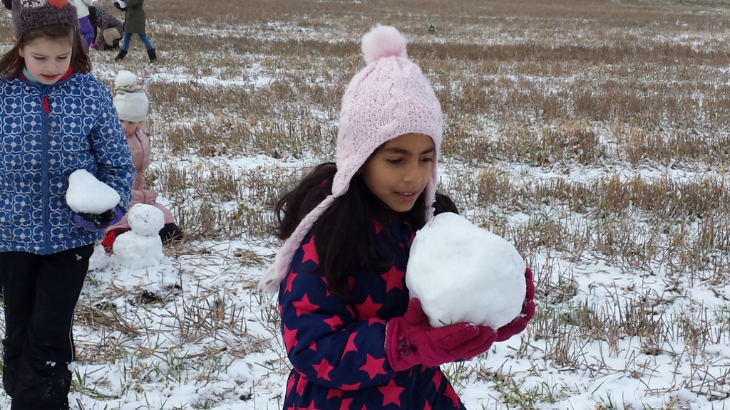 20150203 101213 1024x576