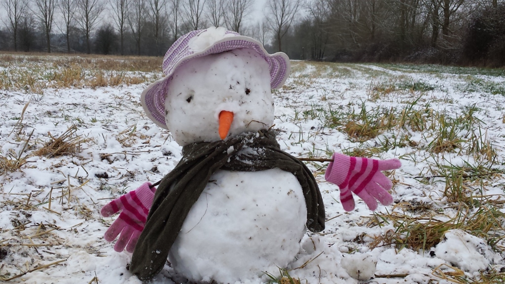 20150203 102805 1024x576