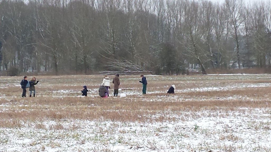 20150203 102903 1024x576